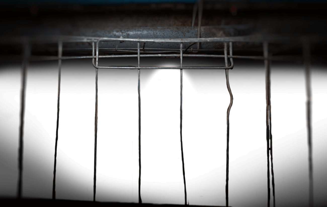 cage