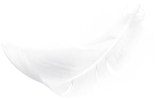 feather